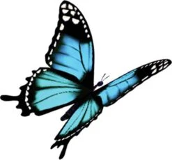 4x Robijn Klein & Krachtig Wasmiddel Black Velvet 1,19 Liter -Schoonmaakartikelen Winkel 1200x1118