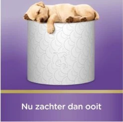 Scottex Toiletpapier - Kussenzacht Design Wc Papier - 84 Rollen -Schoonmaakartikelen Winkel 1200x1197 6