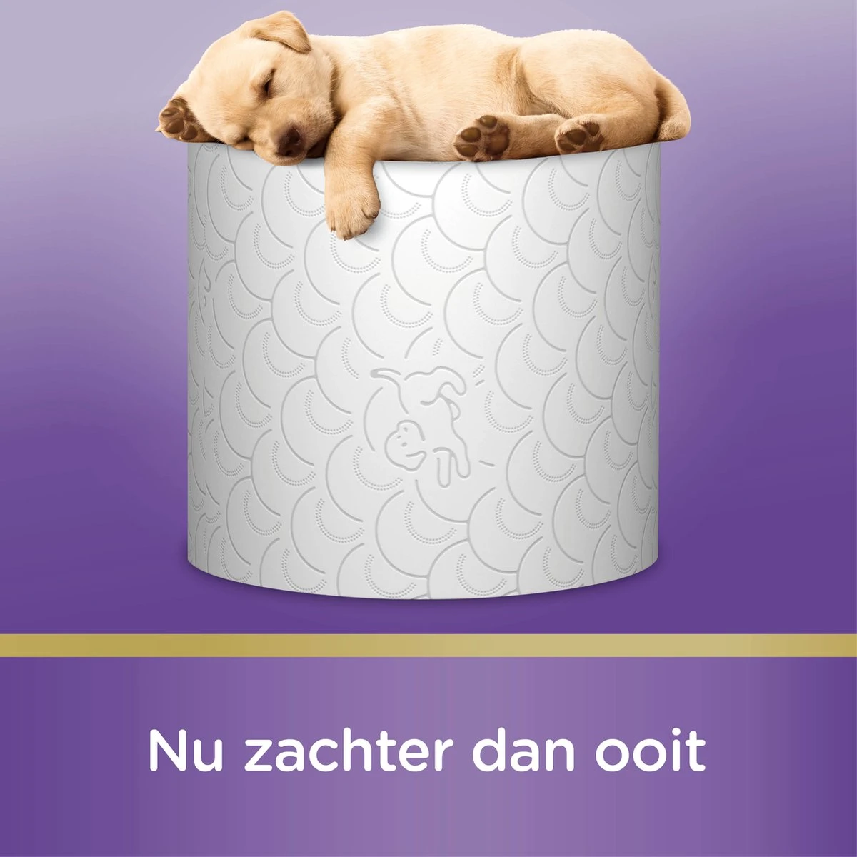 Page Toiletpapier - 36 Rollen - Kussenzacht Wc Papier (3-laags) - Voordeelverpakking 7 Page Toiletpapier - 36 Rollen - Kussenzacht Wc Papier (3-laags) - Voordeelverpakking - Afbeelding 5