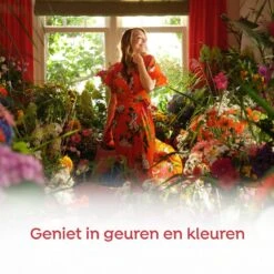 Robijn Klein & Krachtig Rosé Chique Vloeibaar Wasmiddel - 8 X 19 Wasbeurten - Voordeelverpakking -Schoonmaakartikelen Winkel 1200x1200 53