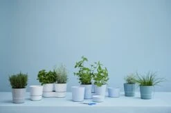 Mepal – Kruidenpot Twin - Wit – Automatische Bewatering – Altijd Verse Kruiden In De Keuken – Ook Geschikt Voor Planten -Schoonmaakartikelen Winkel 1200x798 6